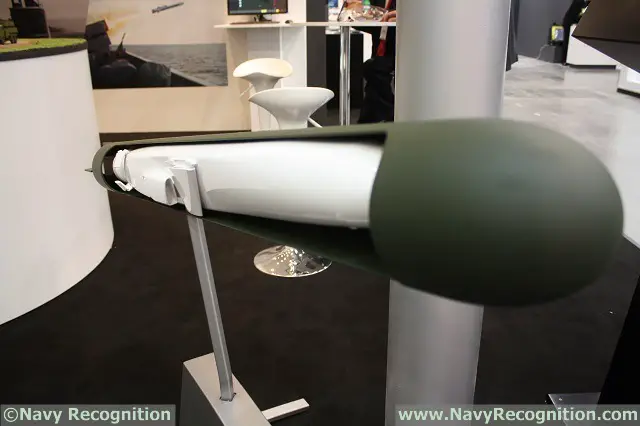 At the 13th Baltic Military Fair BALT-MILITARY-EXPO 2014 currently held in Gdansk, Poland, Kongsberg shows for the first time a concept of a submarine launched variant of its NSM (Naval Strike Missile). The missile is based on the JSM (the variant specifically designed to fit inside the F35 JSF jet's weapons bay). Kongsberg with its partner Nammo will design a specific booster to laucn the missile after breaking out of the water.